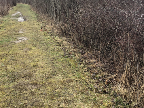 The feedline on a muddy trail.