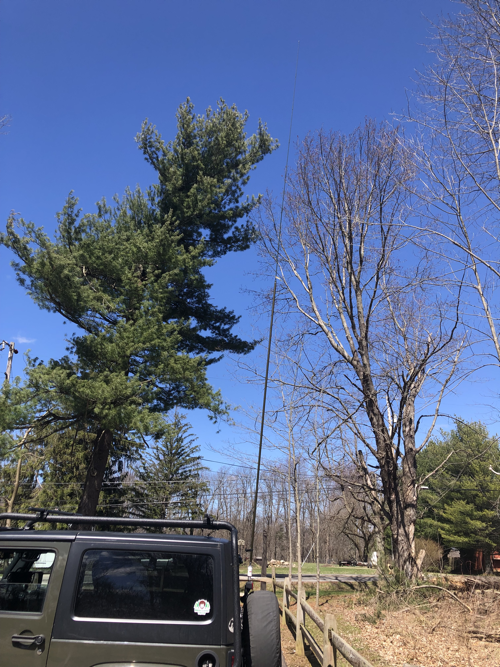 Jeep with Chameleon Whip Antenna deployed.