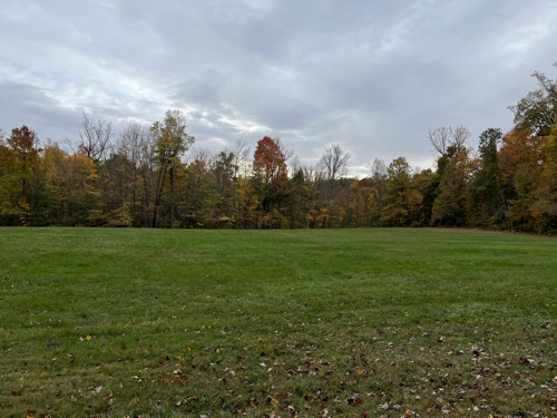 The open field on a very grey day.