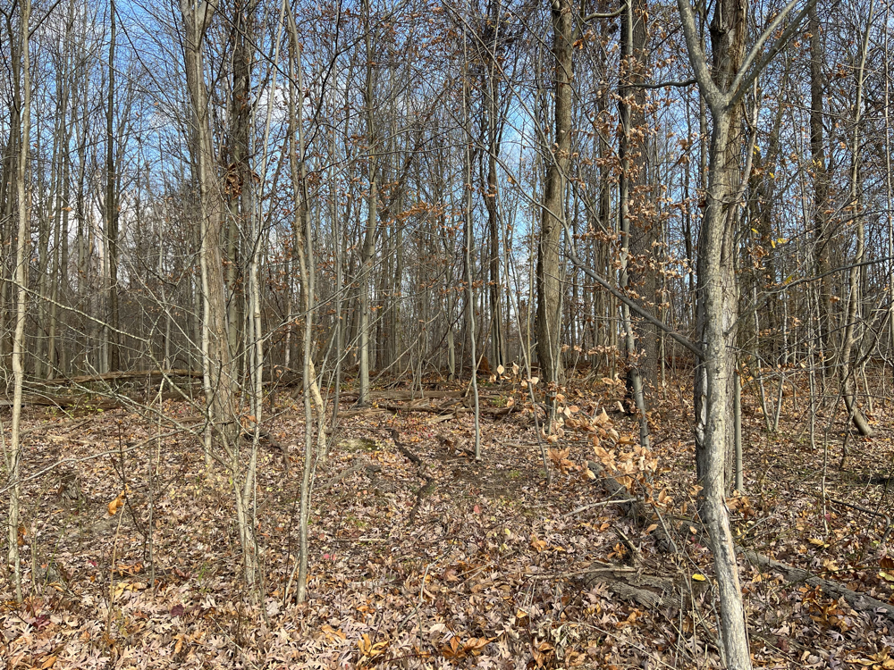06-Nov-2022 - Cuyahoga Valley NP - K-0020