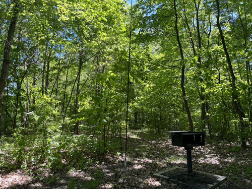A nearly invisible Chameleon whip deployed near a picnic table and grill.