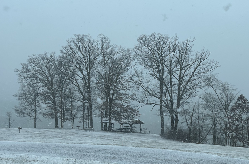 A picnic shelter in the trees located where my activations took place near the water. Photo from 21-Jan-2023.