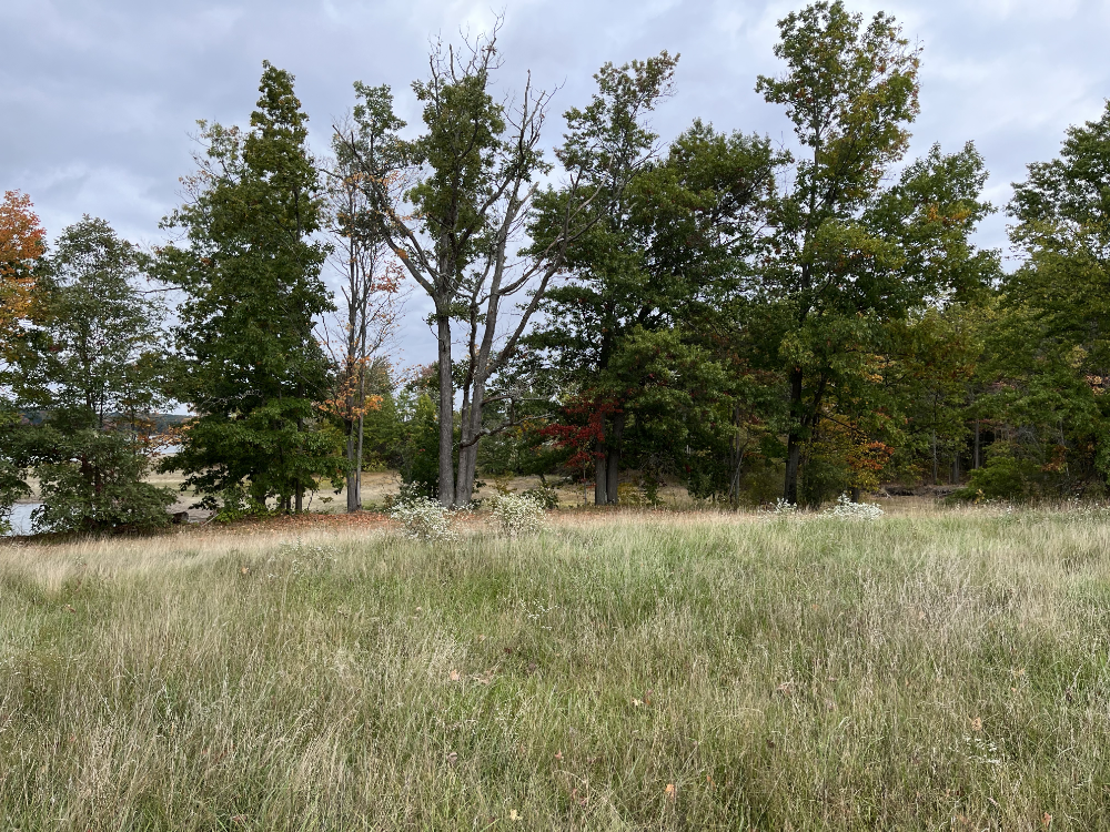 A West Branch Weekend