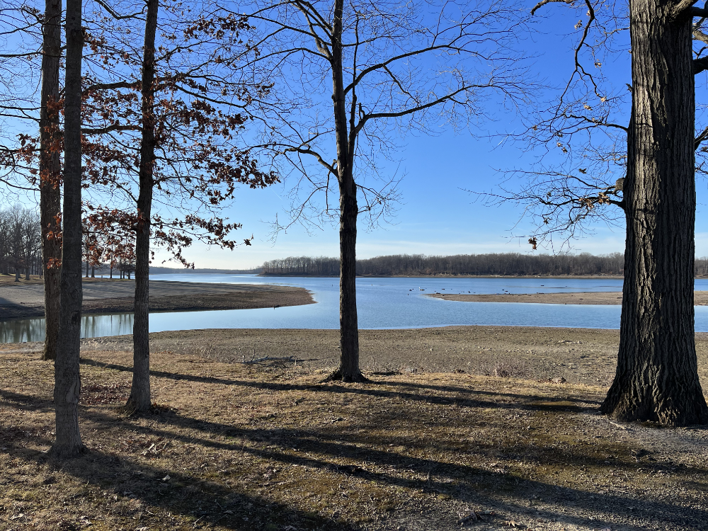 Bare trees with long shadows on an exceptionally sunny day in Ohio in December.