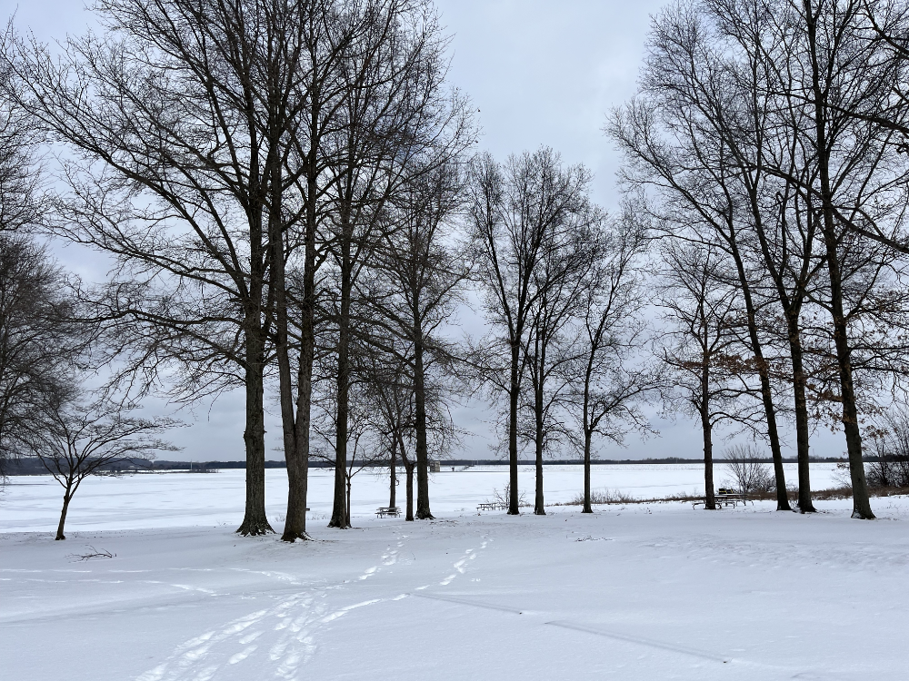 Support Your Parks: Winter 2024