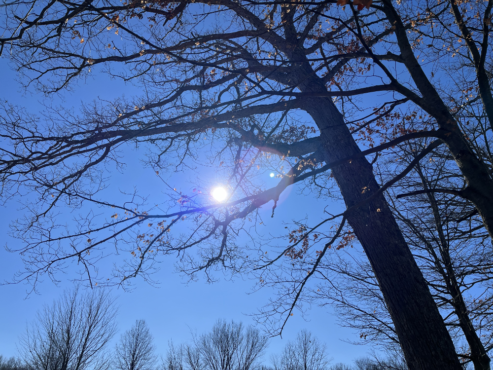 Spring Has Sprung