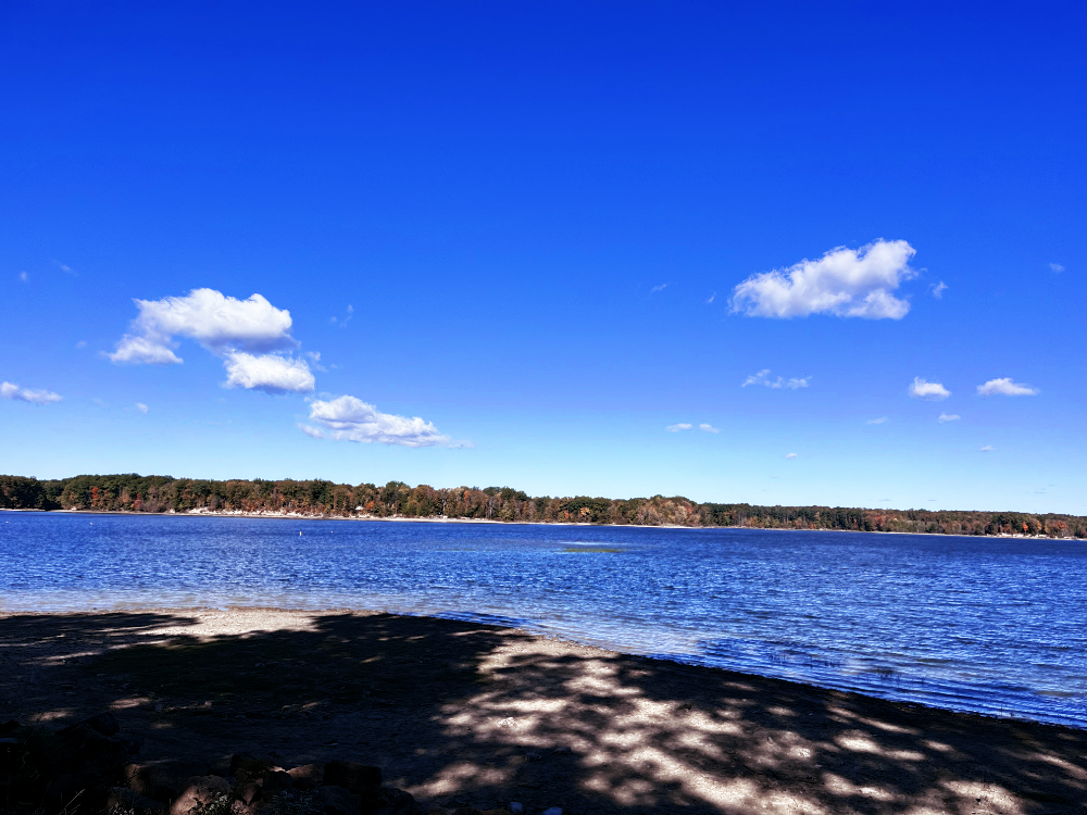 The reservoir at West Branch State Park under a blue sky with a few puffy clouds.
