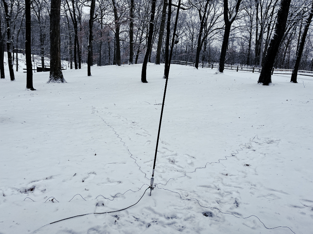The Chameleon whip and extension set up in the snow next to the bare trees.