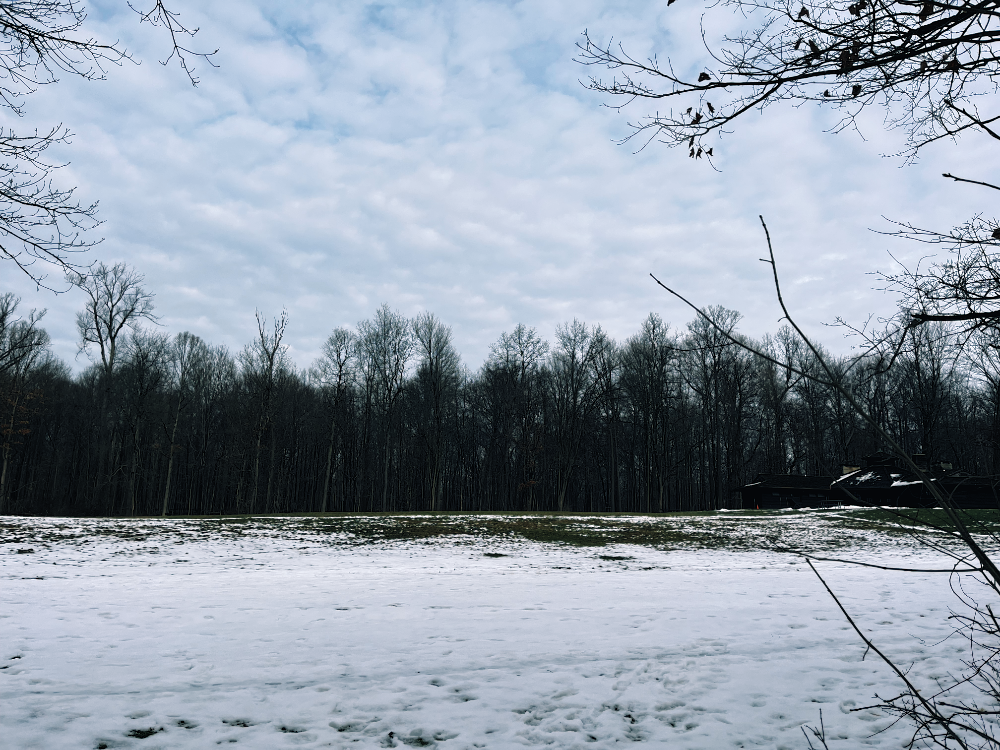 A Solitary Activation