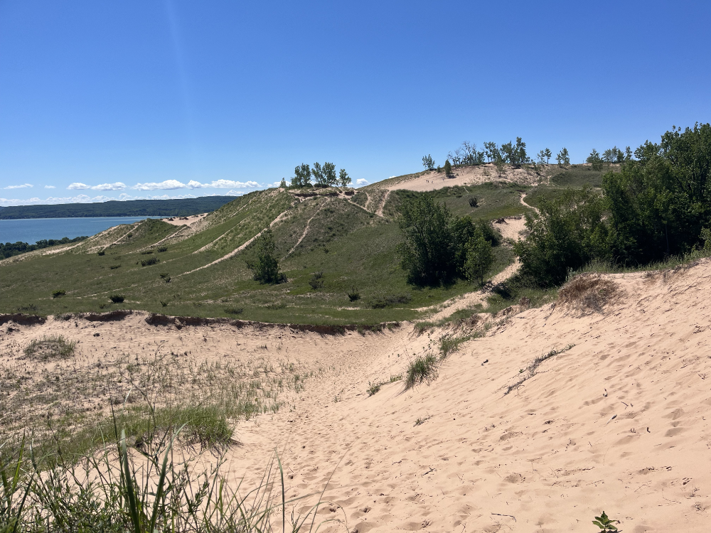 Grass and dunes with Lake Michigan in the distance.