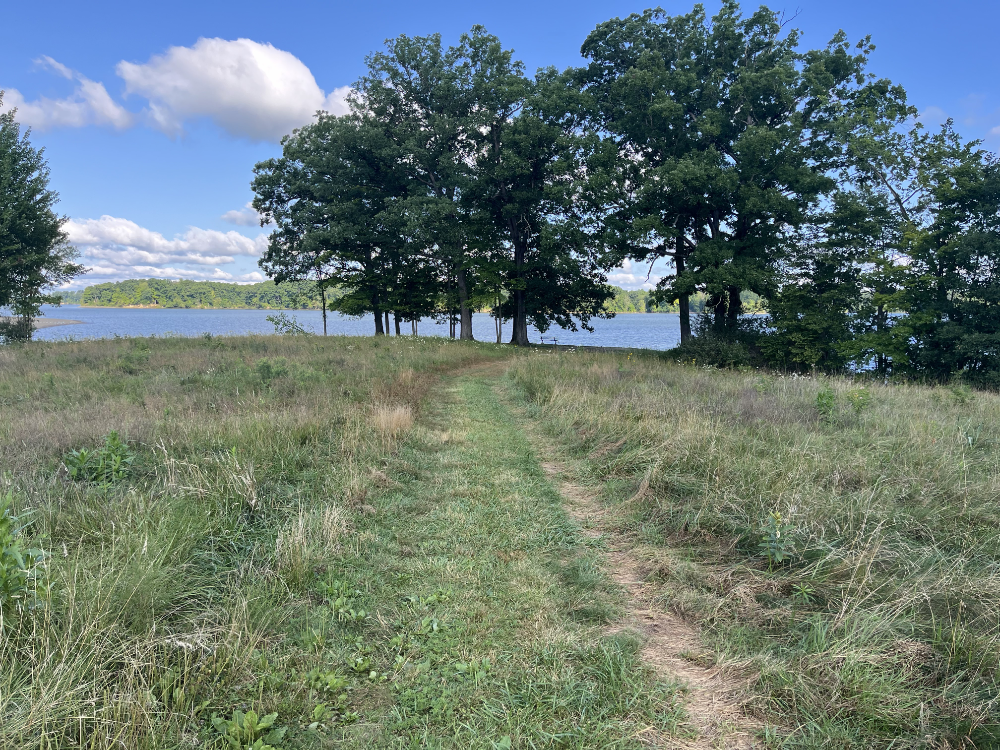 A mowed path leading to a point near the water. Under a large tree there is a permanent park bench but NO picnic table.