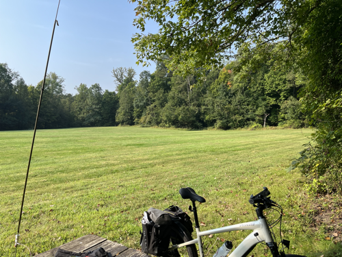 The empty field where I operate with my antenna and bike in the frame.