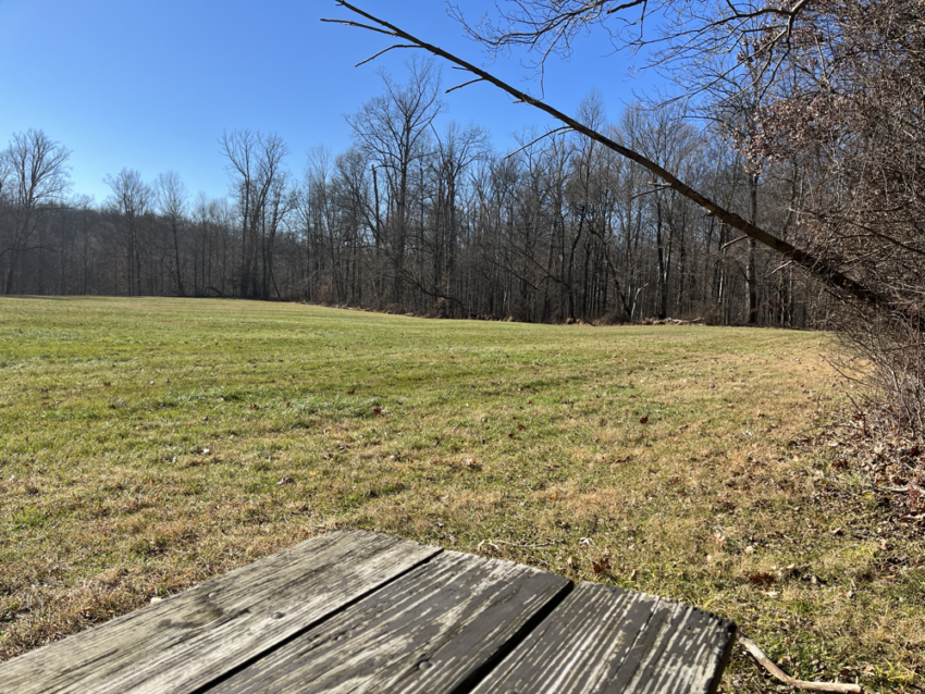An open field on a day with blue skies. A picnic table surface is in the foreground.