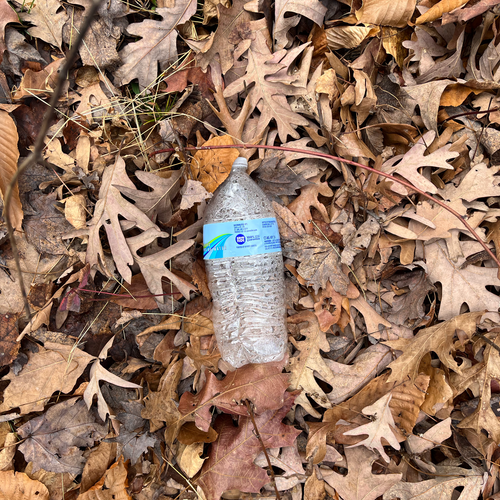 Discarded water bottle left on the ground.