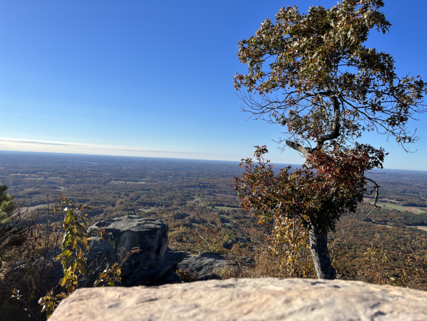 View from the top of Pilot Mountain in NC.