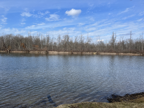 A pond with leafless trees on the opposing shore and a bright blue sky.