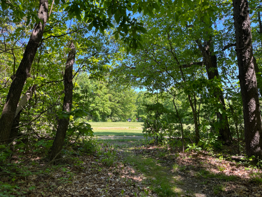 A view of the trail leading out of the woods and onto the field near The Ledges at CVNP.