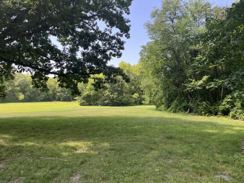 Open field and trees at the Cuyahoga Valley National Park