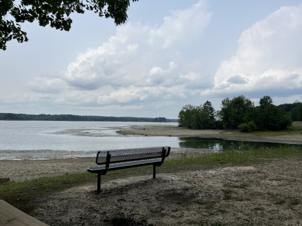 A lonely bench looking out over the water.