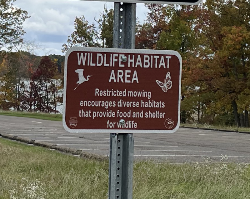 A sign indicating that the area is being rewilded. It reads: "Restricted mowing encourages diverse habitats that provide food and shelter for wildlife."