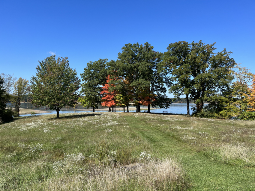 Trees and picnic table at the far end of a field at West Branch State Park in Ohio.