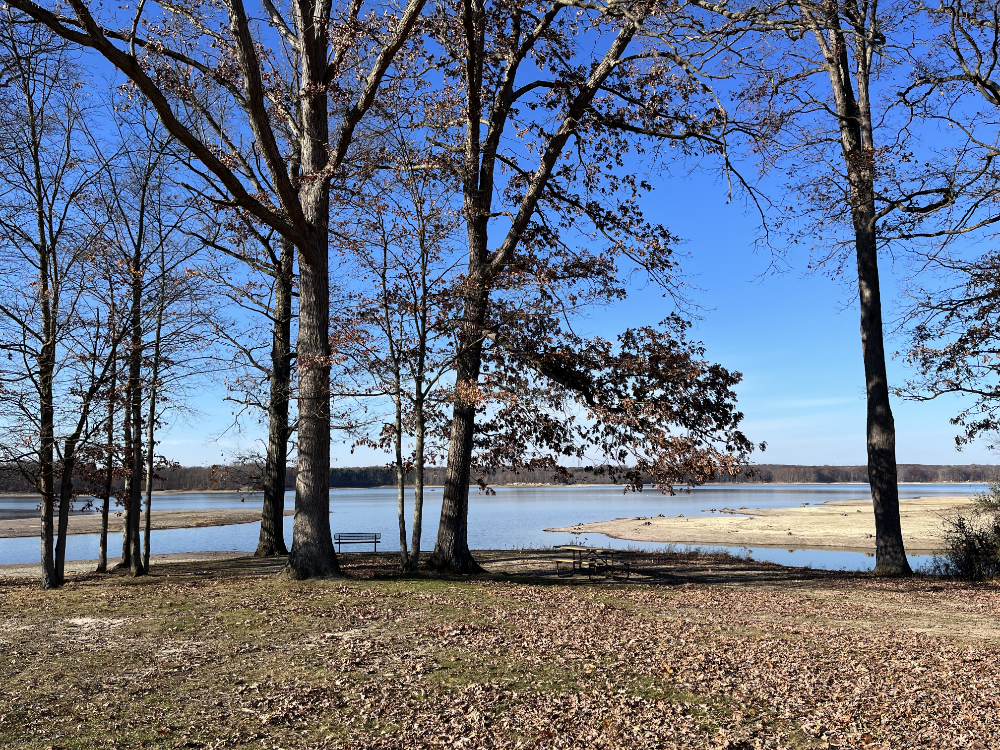 The view of the picnic table and park bench near the reservoir at West Branch State Park.