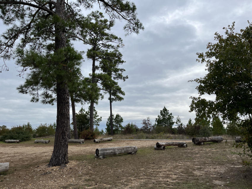 Parking lot at the picnic area of Bastrop State Park in Texas. There are trees and logs arranged as barriers.