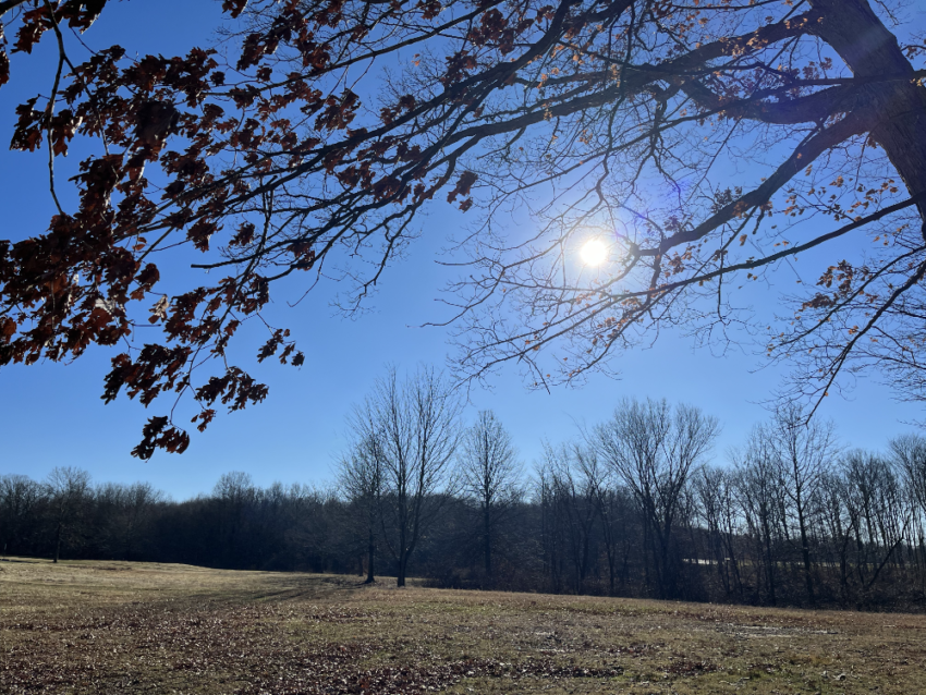 The sun in a blue sky at West Branch State Park.