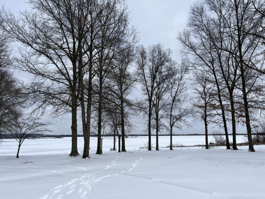 Trees in deep snow in front of the reservoir at West Branch State Park.