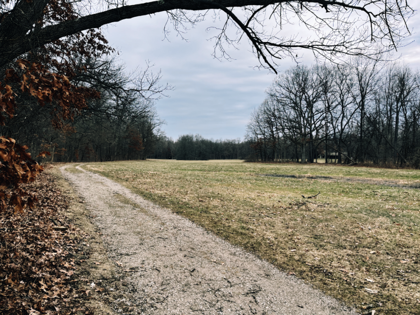 A trail next to a large field at The Ledges area of Cuyahoga Valley National Park. Leafless trees surround the area.