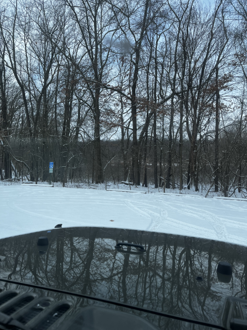 The view of the parking lot an a stand of trees as seen from the passenger seat of the Jeep.